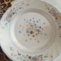 پیش دستی ارکوپال