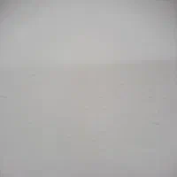 نیازمند ضامن رسمی