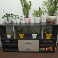 قفسه کتاب