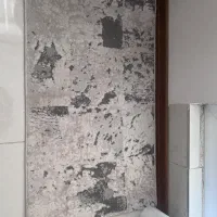 یک عدد پادری،و دو عدد قالیچه و دو عدد قالی ۶ متری|فرش|شیراز, فرهنگ شهر|دیوار