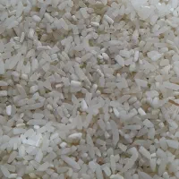 برنج نیم دانه پر محصول دودی|خوردنی و آشامیدنی|کوچصفهان, |دیوار