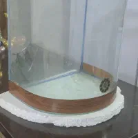 اکواریوم شیشه خم|ماهی|مشهد, شهرک لشکر (شهرک غرب)|دیوار