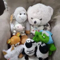 همه عروسک هادرحدنوبدون پارگی