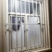 اجاره ملک مسکونی طبقه بالا کوی ولایت|اجارهٔ آپارتمان|اندیمشک, |دیوار