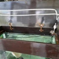 آکواریوم با ماهی