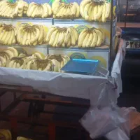 گاری میوه فروشی|فروشگاه و مغازه|رشت, خمیران زاهدان|دیوار