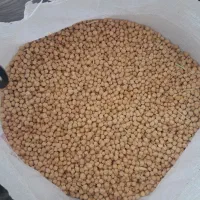با سلام فروشش نخود