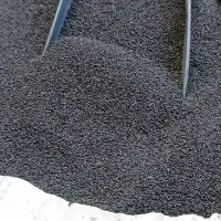 تخم شربتی اعلا|فعالیت داوطلبانه|فردیس, فردیس|دیوار