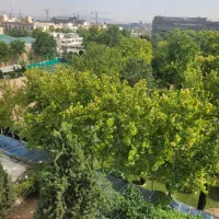 640متر-کلنگی-زعفرانیه-قابل-سکونت