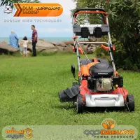 چمن زنی همراه با سمپاشی