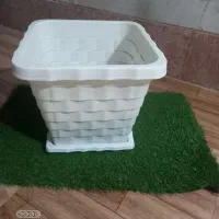 گلدان پلاستیکی|گل و گیاه طبیعی|پاکدشت, پاکدشت (مامازند)|دیوار