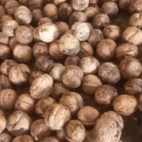 گردوالشتر|خوردنی و آشامیدنی|دره شهر, |دیوار