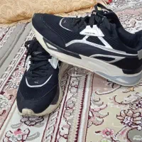 کفش تاناکورا|کیف، کفش، کمربند|جوانرود, |دیوار