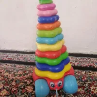 حلقه گربه