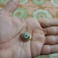 سنگ سلیمانی و سنک عقیق زرد عسلی