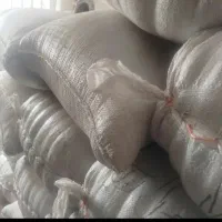 شالی دمسیاه بذری