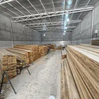 فروش انواع چوب روسی