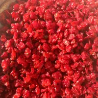 فروش زرشک اناری زیرتالاری