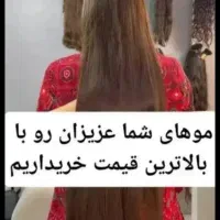 کوتاهی موهای بانوان در سالن نرگس موهای خام رنگی|آرایشگاه و سالن‌های زیبایی|رامهرمز, |دیوار