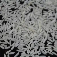 برنج هاشمی به شرط
