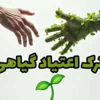 ترک متادون ب2