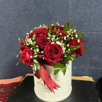 گل رز|گل و گیاه طبیعی|مشهد, آبکوه|دیوار