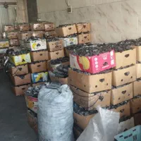 زغال قلیانی لیمو و زغال مجلسی|عمدهفروشی|محلات, |دیوار