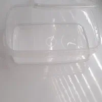 ظرف ماکروفی ظرف نظم دهنده
