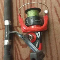 لنسرهای ماهیگیری