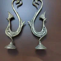 طاووس برنزی