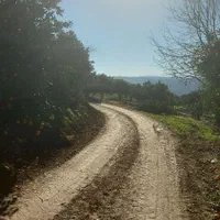 زمین دو نبش با چشم انداز ابدی|فروش زمین و ملک کلنگی|ارطه, |دیوار