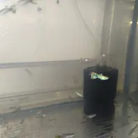 آکواریوم و ماهی