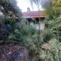 مگه داریم ویلای شهری۲۳۰متری درکوچه اصفهان این قیمت|فروش خانه و ویلا|رشت, کاکتوس|دیوار