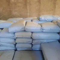 فروش ذرت علوفه پر دان کنگاور