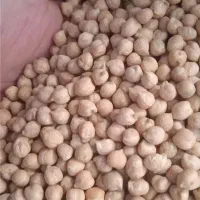 استخدام بازاریابی و فروش|استخدام بازاریابی و فروش|رشت, کوی مهر|دیوار