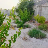 باغ/باغچه/چهار دیواری|فروش زمین و ملک کلنگی|تهران, اکباتان|دیوار