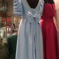 لباس مجلسی پرنسسی|لباس|کرج, شهرک نهال و بذر|دیوار