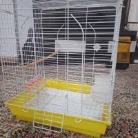 قفس پرنده نو با وسایل