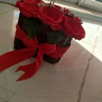 گل باکس گل شاخه گل|گل و گیاه طبیعی|گرگان, |دیوار