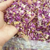 گل محمدی