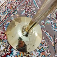 گلدون|گل و گیاه طبیعی|قم, نوبهار|دیوار