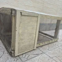 قفس مرغ و خروس