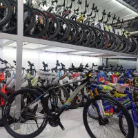 دوچرخه دبلیو استاندار