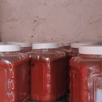 فروش رب خانگی