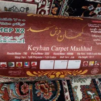فرش 3/4|فرش|مشهد, شهید قربانی|دیوار