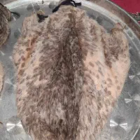 خیگ وروغن|عمدهفروشی|دهدشت, |دیوار