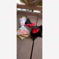 حراج رز برای یلدا|حراج|نسیم‌شهر, |دیوار