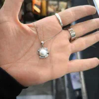 پلاک گردنی و زنجیر نقره ۹۲۵|جواهرات|شیراز, شاهچراغ|دیوار