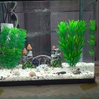 آکواریوم  شیشه خمه دستگاهی|ماهی|الوند, |دیوار