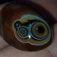 باباقوری دوچشم سلطانی|کلکسیون اشیاء عتیقه|اهواز, نادری|دیوار